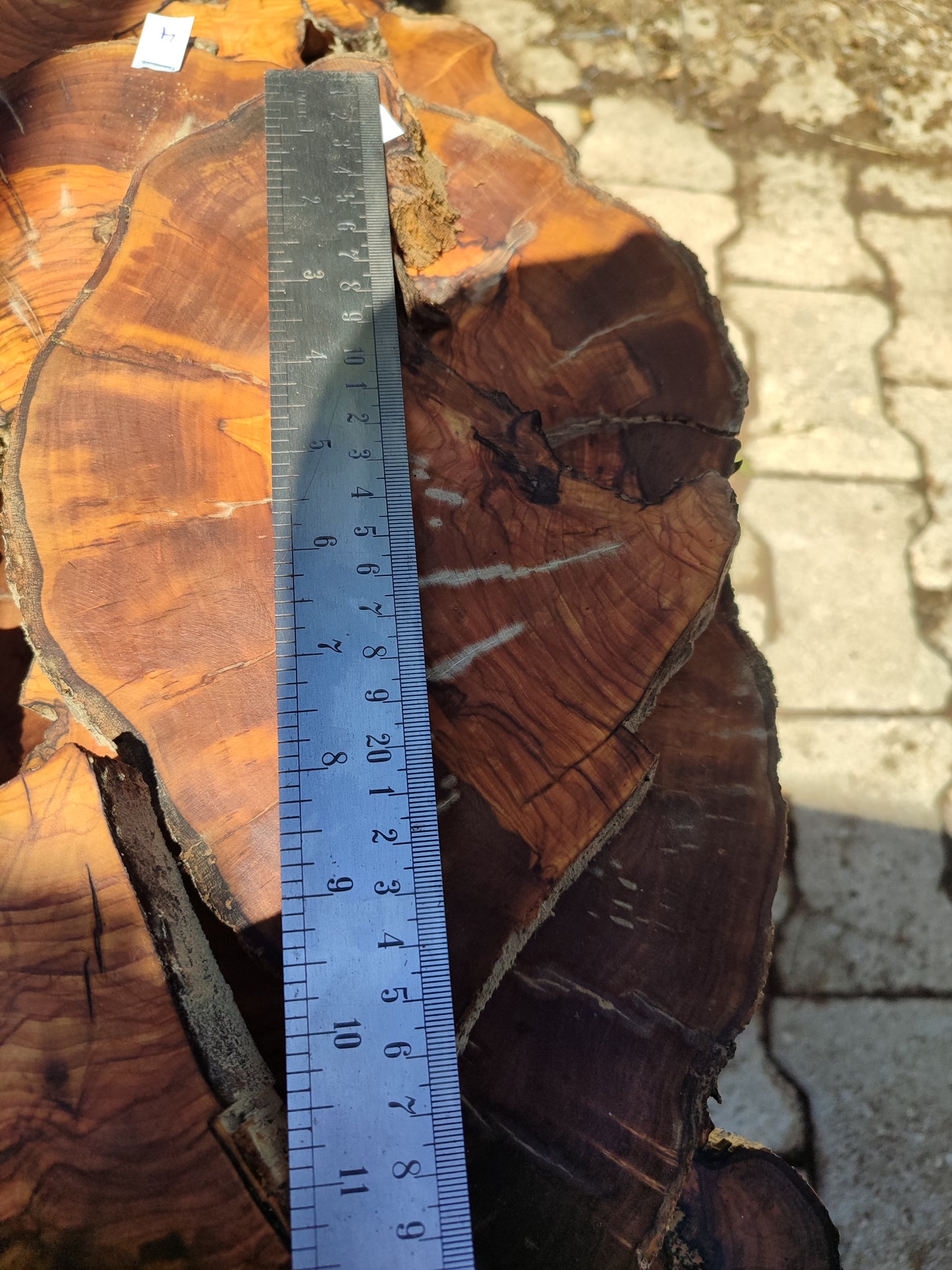 Wholesale Live Edge Olive Wood Slabs - Premium Sustainable Luxury, Unique Grain, 10x28x2.5cm for Epoxy & Crafts