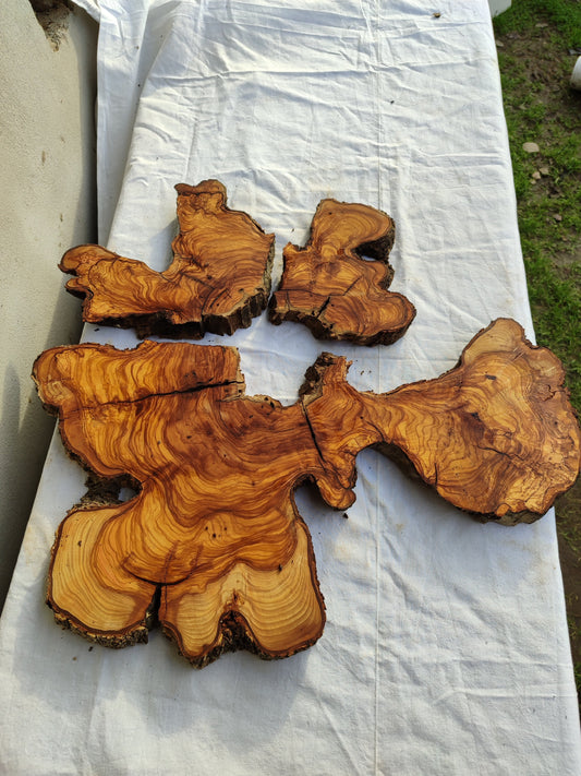 Rare Olive Wood Slab 53x55cm - Live Edge for Epoxy Resin & Coffee Table.