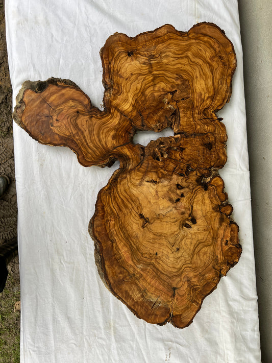 Rare Live Edge Olive Wood Slab (44x64cm) - Super Dry Epoxy Resin Lumber for Coffee Table, Clock & Guitar Body - Unique Natural Grain Art.