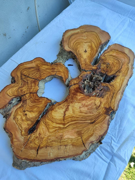 200+ Year Live Edge Olive Wood with Natural Voids for Epoxy Table.