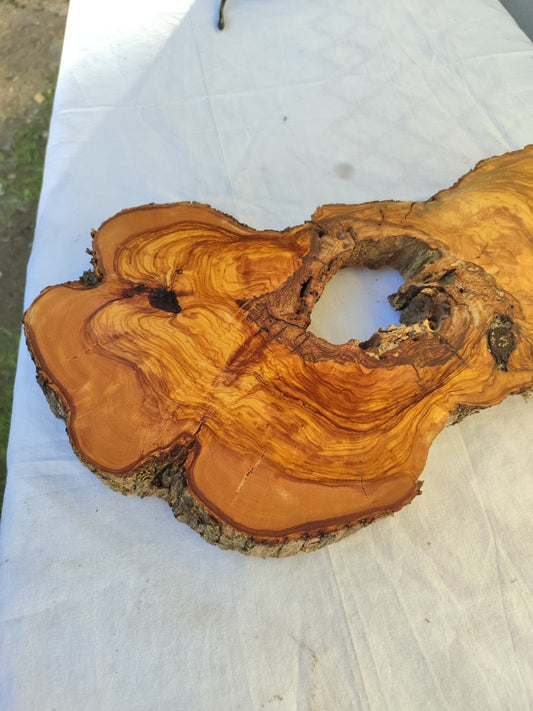 Large Olive Wood Slab 200+ Years | Live Edge Wood Slice 50x34cm for Epoxy.