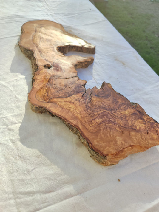 Long Olive Wood Slab | Live Edge Wood Slice for Sculptural Wall Art & Decor.