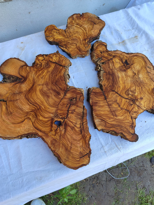 Rare Olive Wood Slab 51x53cm | Premium Live Edge for Epoxy Resin, Clock, Guitar Body | Ultra Dry Sustainable Luxury DIY Lumber.