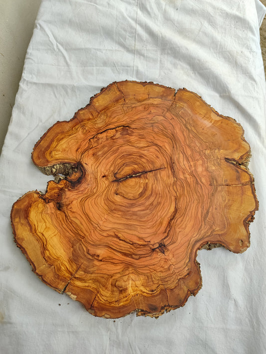 Rare Olive Wood Slab – Live Edge Unique Grain Sustainable Luxury – 40x42x2.5cm Premium Natural Luster - Olive Generic