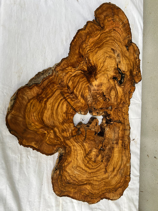 Rare Olive Wood Slab 40x64cm - Live Edge for Epoxy Resin Table & Wall Art - Super Dry Luthier Wood - Sustainable Luxury Unique Grain.