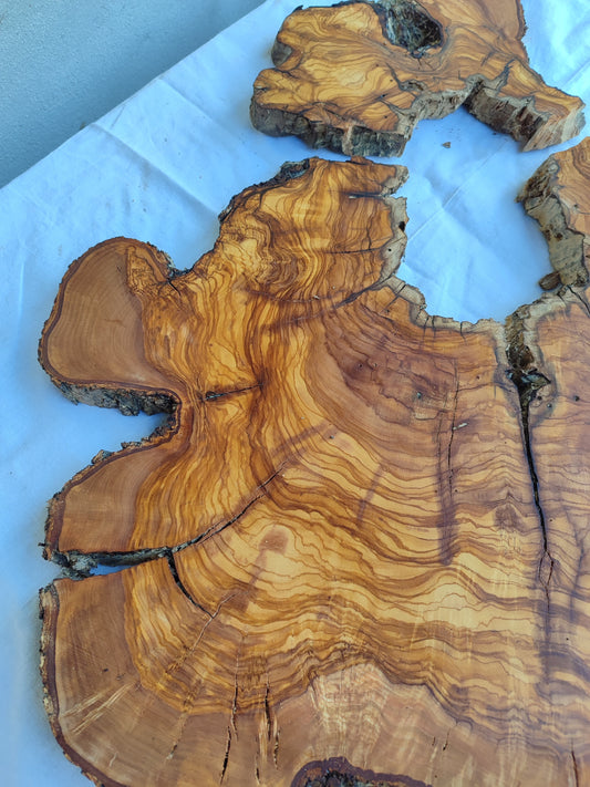 Rare Huge Live Edge Olive Wood Burl Slab 48x52cm - Premium Dry Exotic Lumber for Epoxy Resin Art, Guitar Body & Luxury Coffee Table DIY.