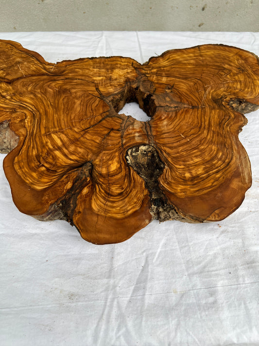 Rare Olive Wood Slab 28x52cm | Dry Live Edge Burl for Resin Art, Clock & Luthier | Unique Grain Sustainable Luxury Woodworking Material.