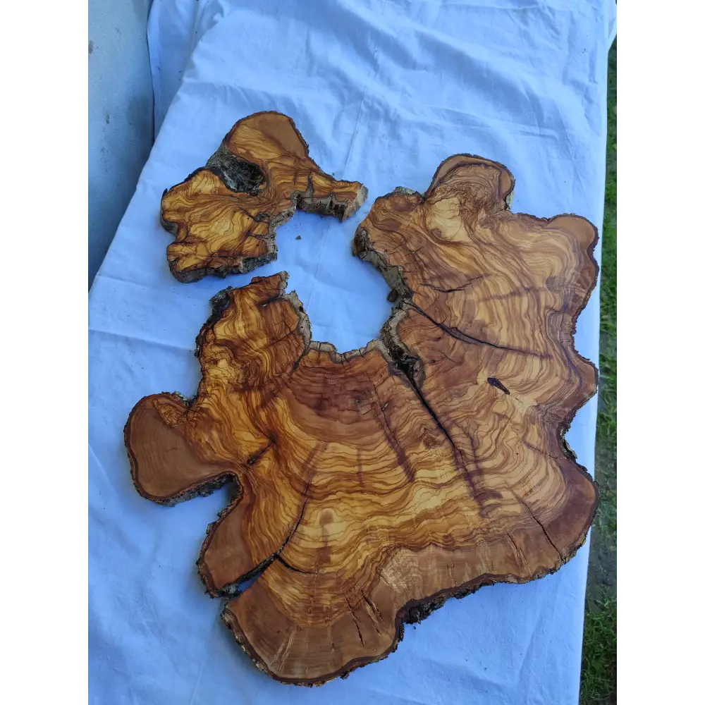 Rare Huge Live Edge Olive Wood Burl Slab 48x52cm - Premium Dry Exotic Lumber for Epoxy Resin Art, Guitar Body & Luxury Coffee Table DIY.