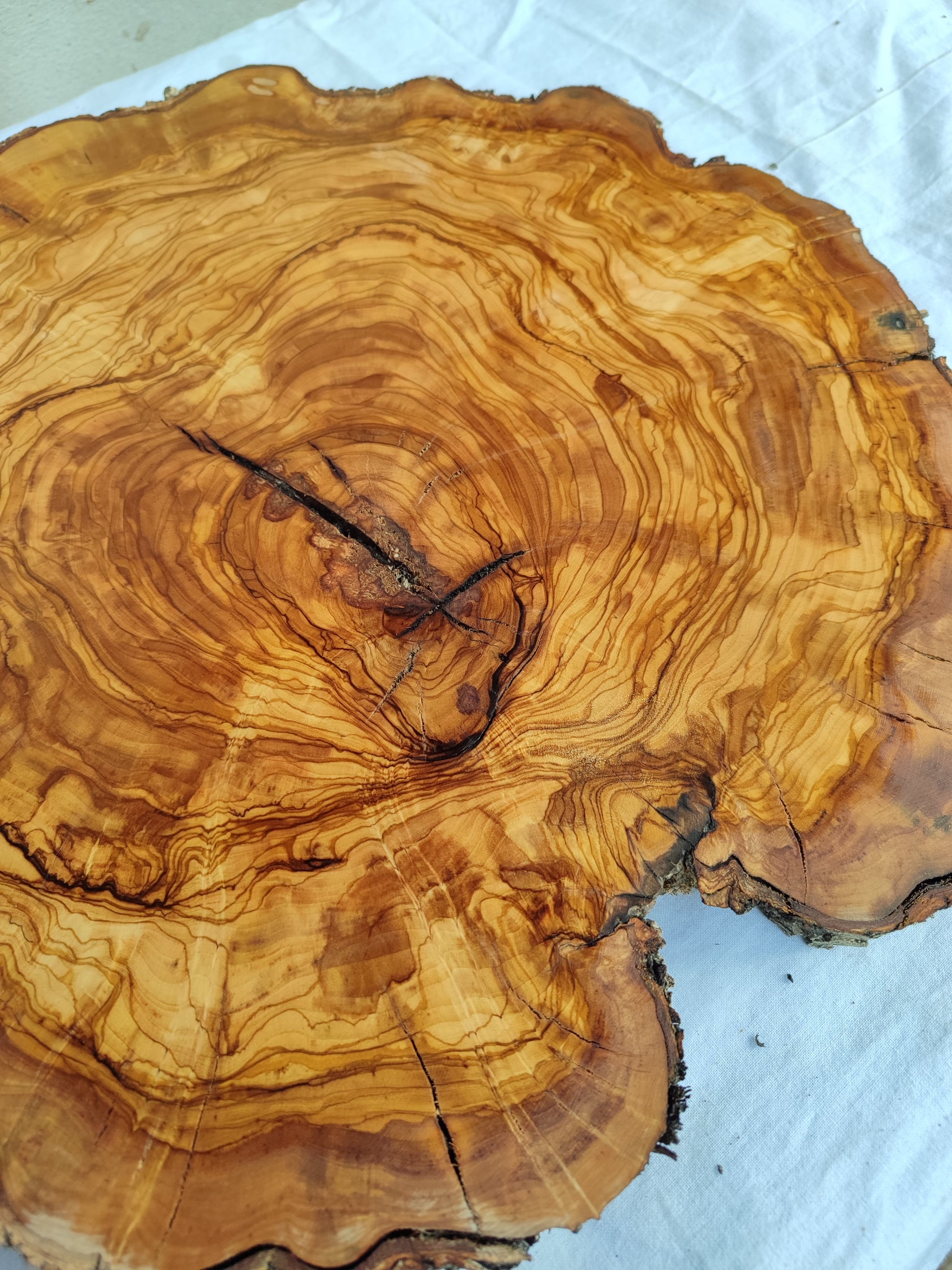 Rare Olive Wood Live Edge Slab – 40x44x3 cm Unique Grain Sustainable Luxury for Epoxy Table Clock & Crafts - Olive