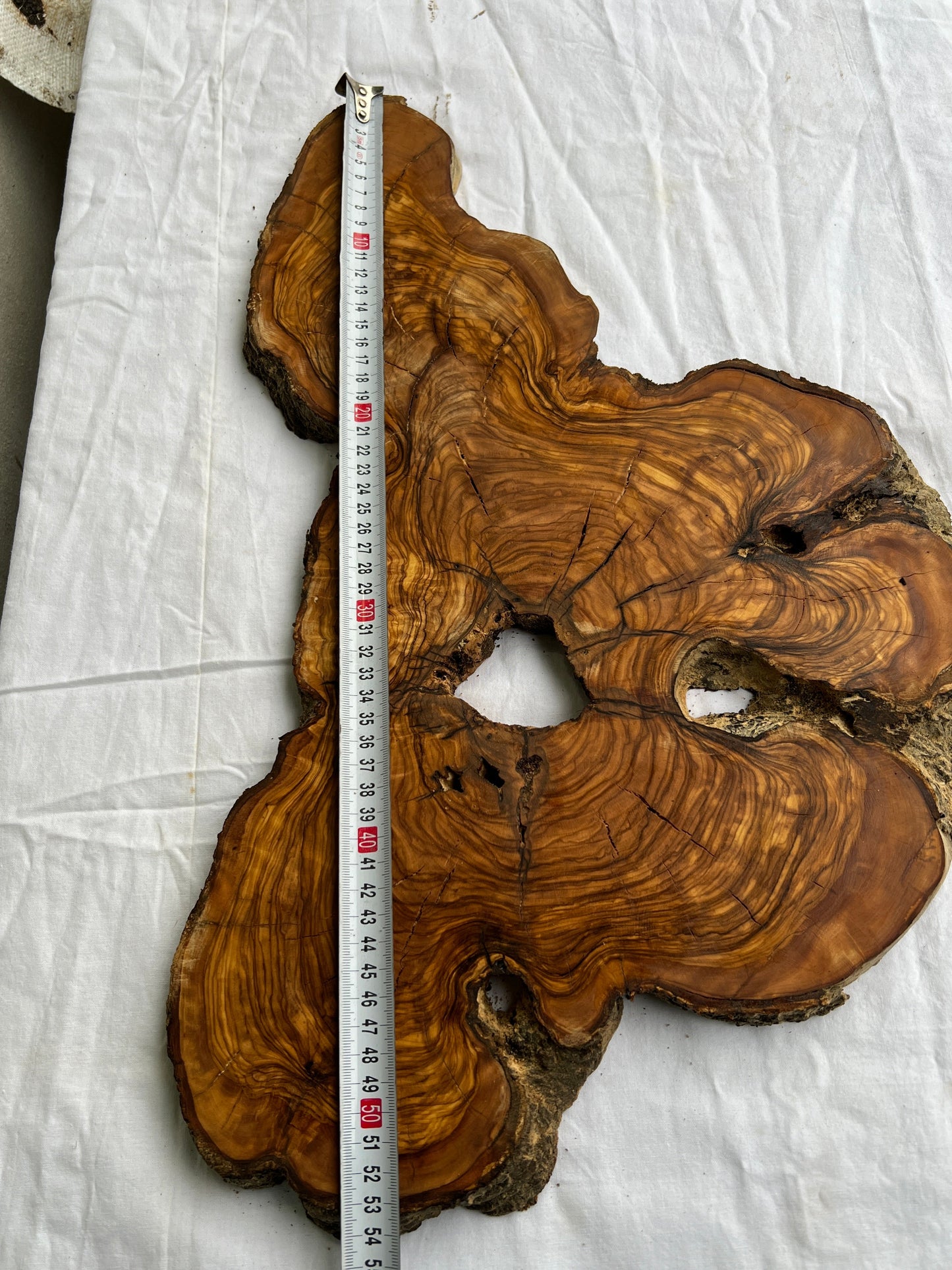 Rare Olive Wood Slab 53x30cm Live Edge for Epoxy Resin Art, Luxury Coffee Table & Clock Making | Super Dry 3% Moisture Unique Grain DIY.
