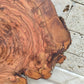 Rare Olive Wood Live Edge Slab – 32x40 cm Premium Sustainable Luxury, Unique Grain & Natural Luster