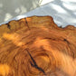 Rare Olive Wood Live Edge Slab – Unique Grain Sustainable Luxury for Epoxy Table & Craft - Olive Generic