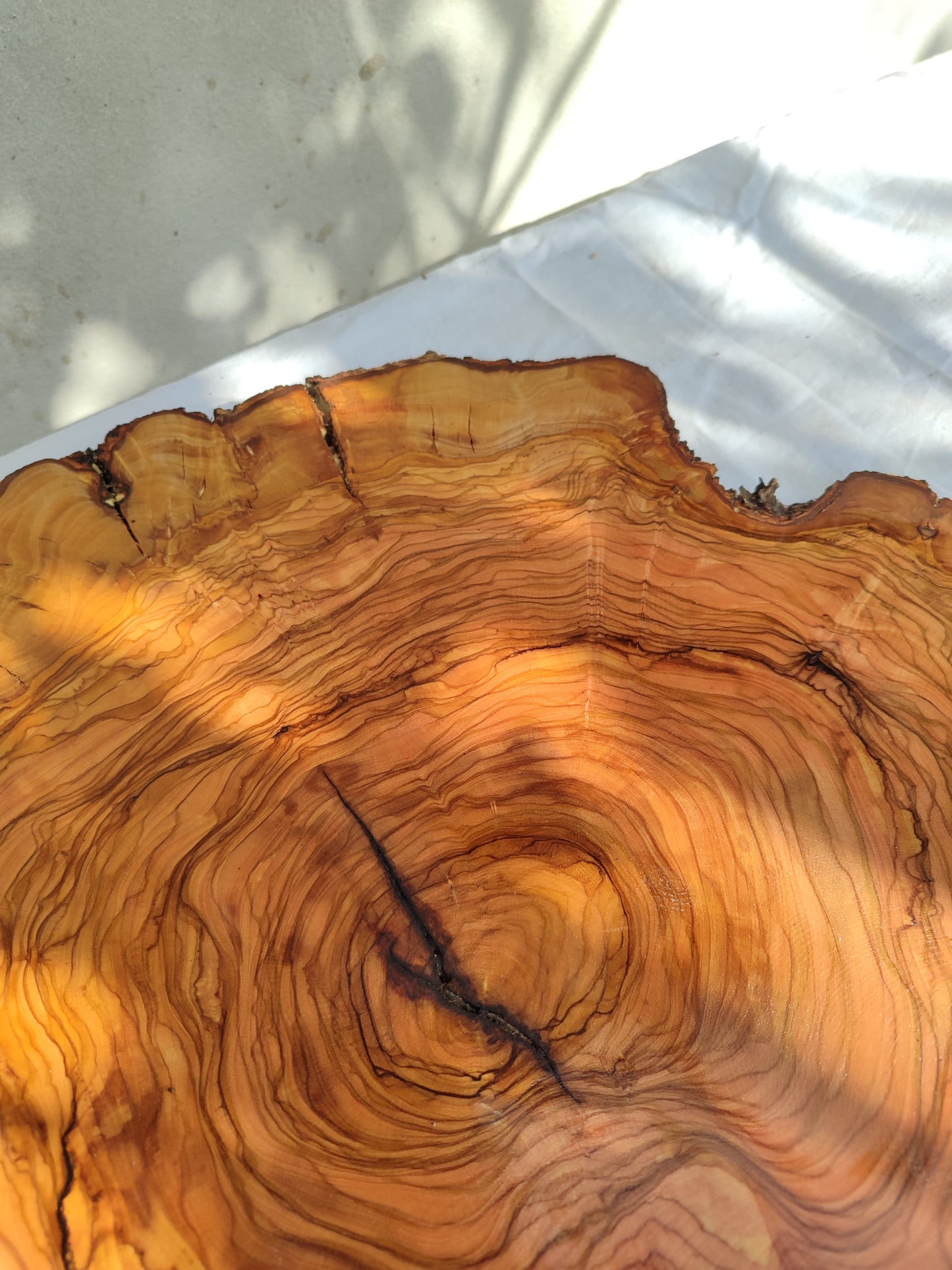 Rare Olive Wood Live Edge Slab – Unique Grain Sustainable Luxury for Epoxy Table & Craft - Olive Generic