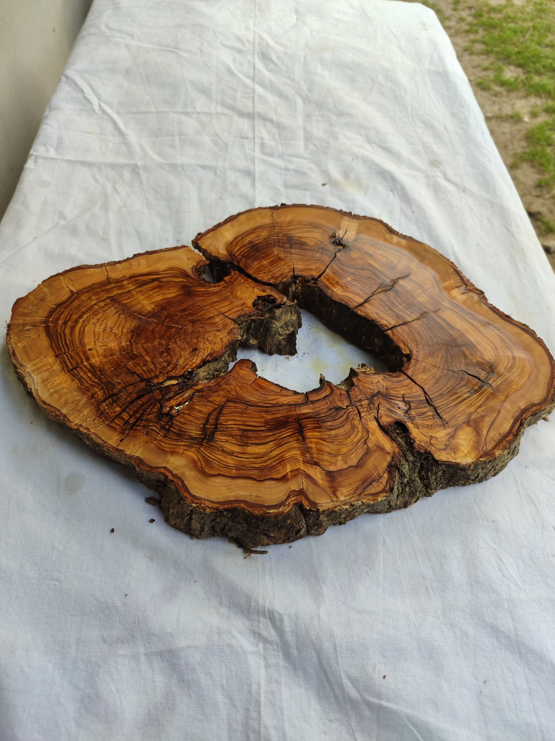 Rare Olive Wood Slab – Live Edge Unique Grain Sustainable Luxury – 29x39x3 cm Epoxy Friendly - Olive Generic