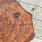 Rare Olive Wood Slab - Live Edge Premium Natural Luster - Sustainable Luxury, Unique Grain, 33x40x2.5 cm