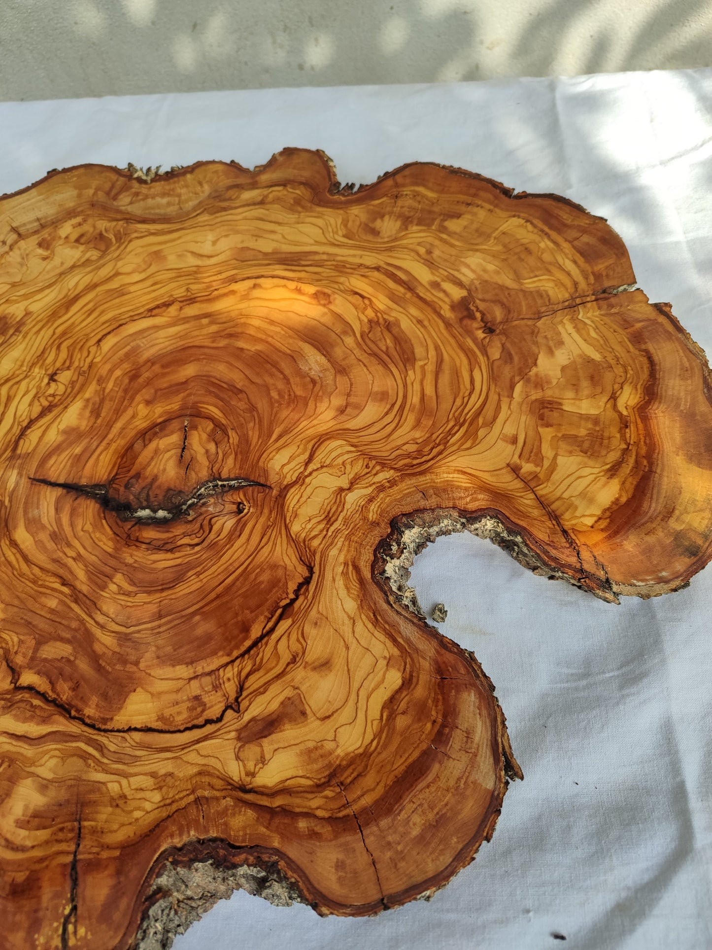 Rare Olive Wood Live Edge Slab – Sustainable Luxury Unique Grain 37x40x2.5cm Premium Natural Finish - Olive Generic