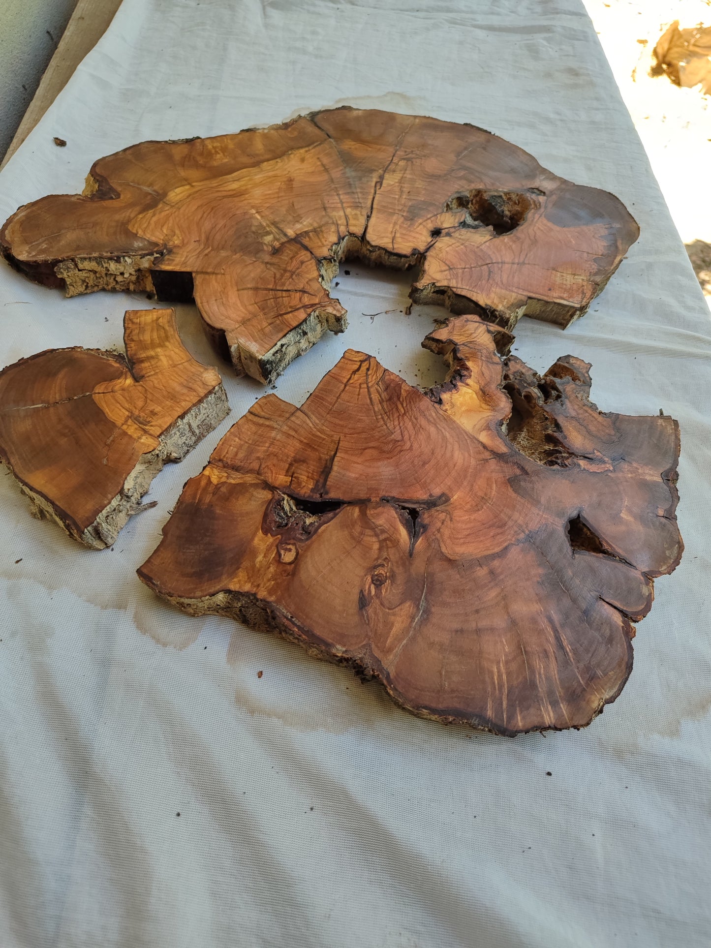 Rare Olive Wood Slab – Live Edge, Unique Grain, Sustainable Luxury | 40x44x2.5 cm