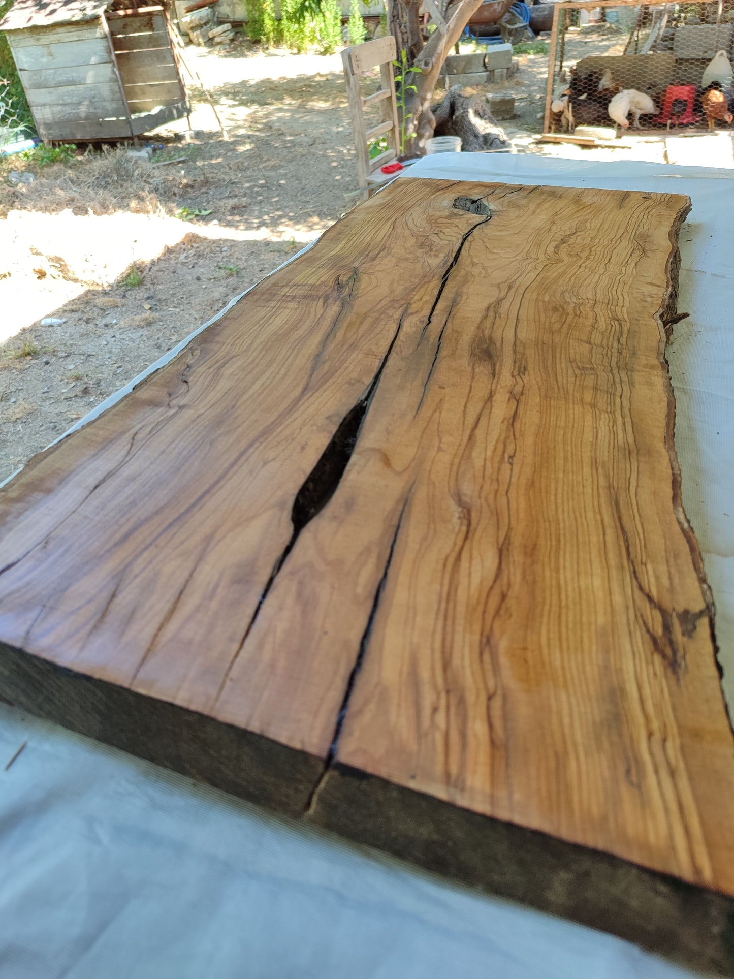 Rare Olive Wood Live Edge Slab – 31x78x3 cm, Unique Grain, Sustainable Luxury