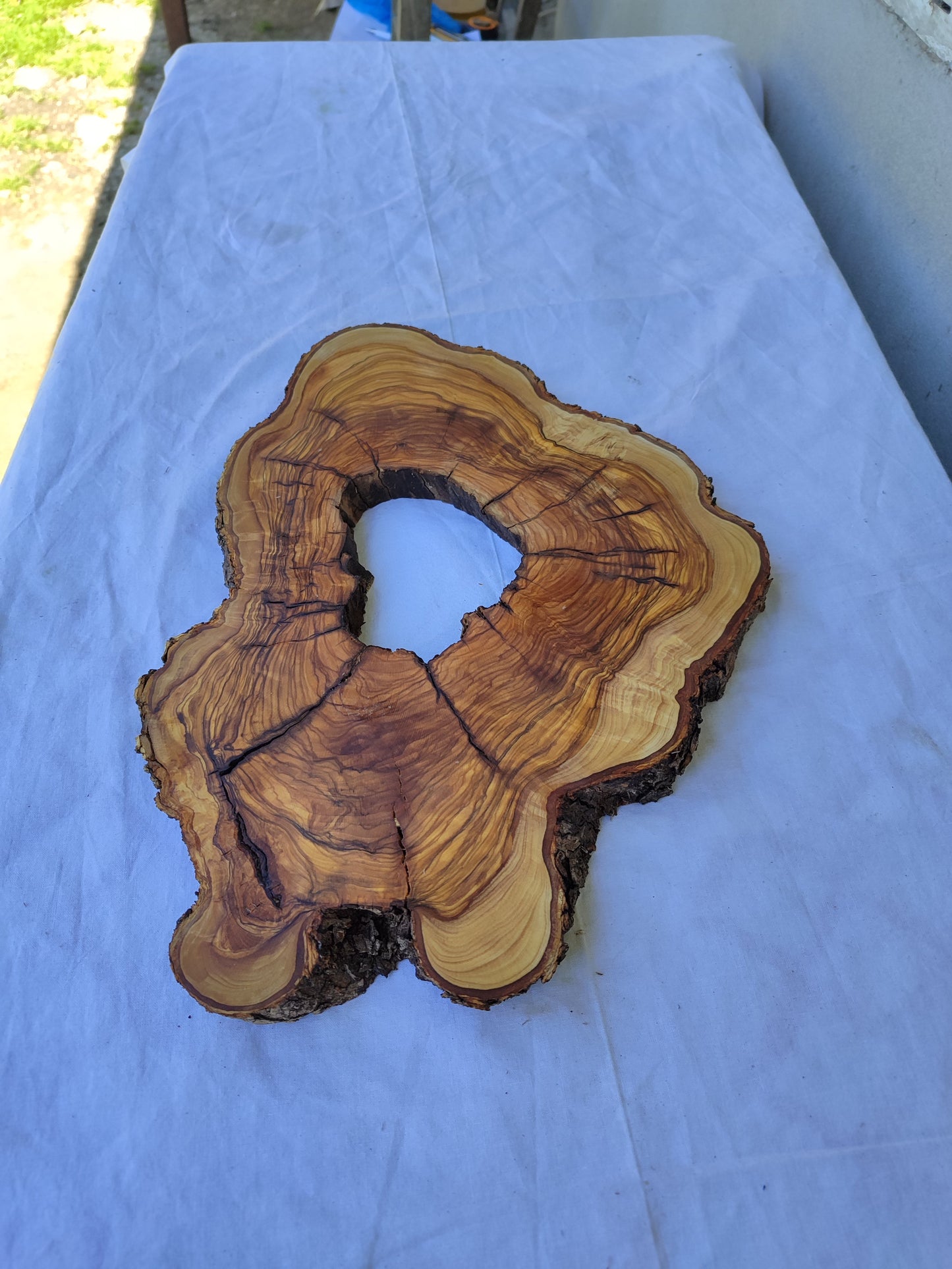 Rare Olive Wood Live Edge Slab 25x39cm - Unique Grain Epoxy Resin Wood for Clock & Guitar Body - Sustainable Luxury &