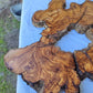 Rare Ancient Olive Wood Slab 43x53cm Live Edge Lumber for Epoxy Resin.