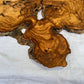 Rare Olive Wood Slab 42x65cm | Live Edge for Epoxy Resin & Wall Art | Unique Grain Sustainable Luxury | Super Dry DIY Craft Wood.