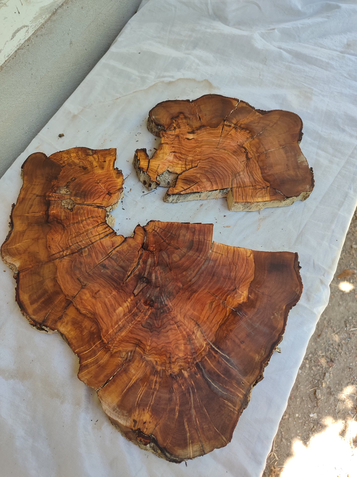 Rare Live Edge Olive Wood Slab – 37x43x2.5 cm, Natural Luster, Unique Grain, Sustainable Luxury for Epoxy & Art