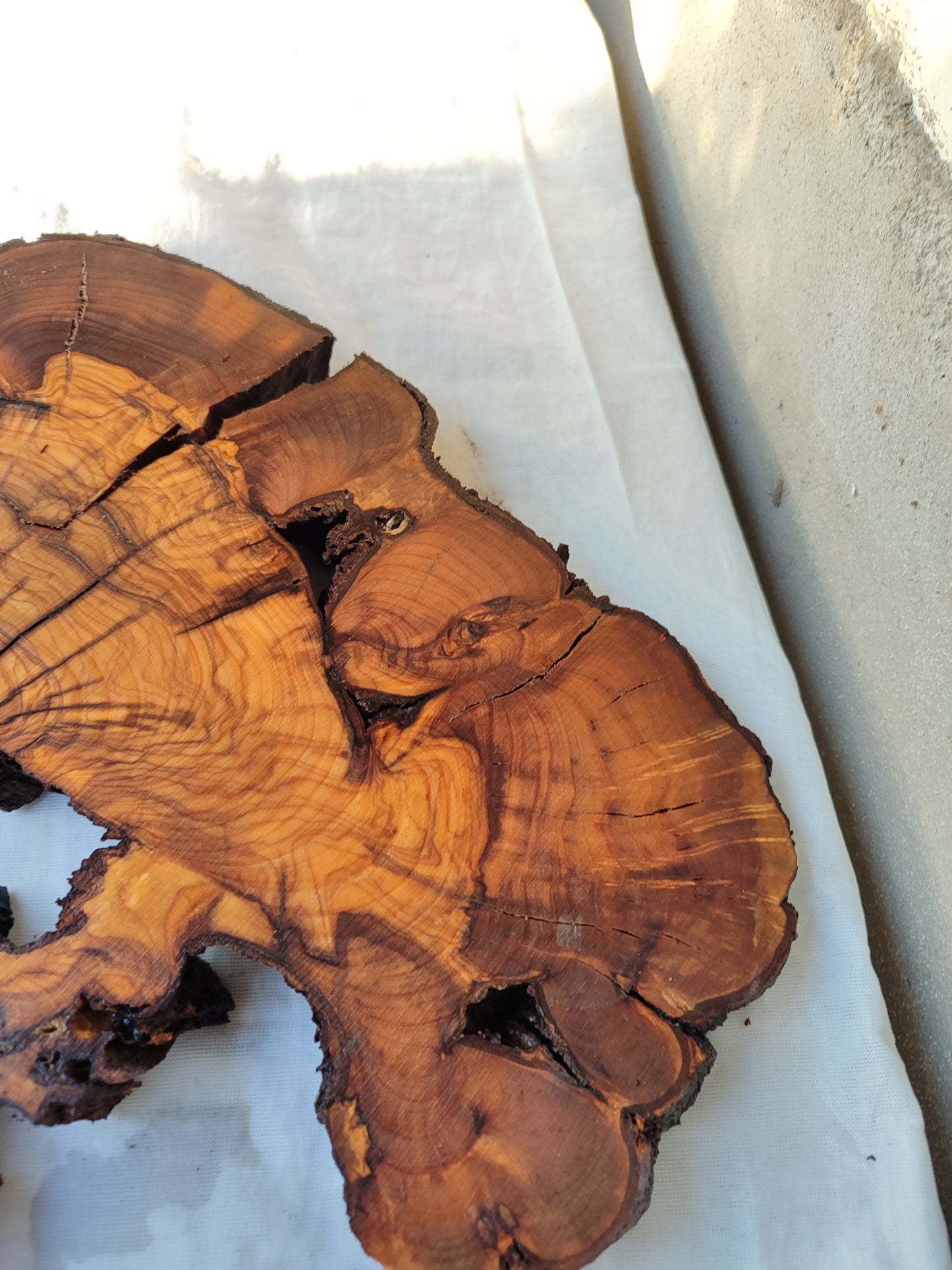 Rare Olive Wood Slab – Live Edge, Unique Grain, Sustainable Luxury – 41x43x2.5 cm