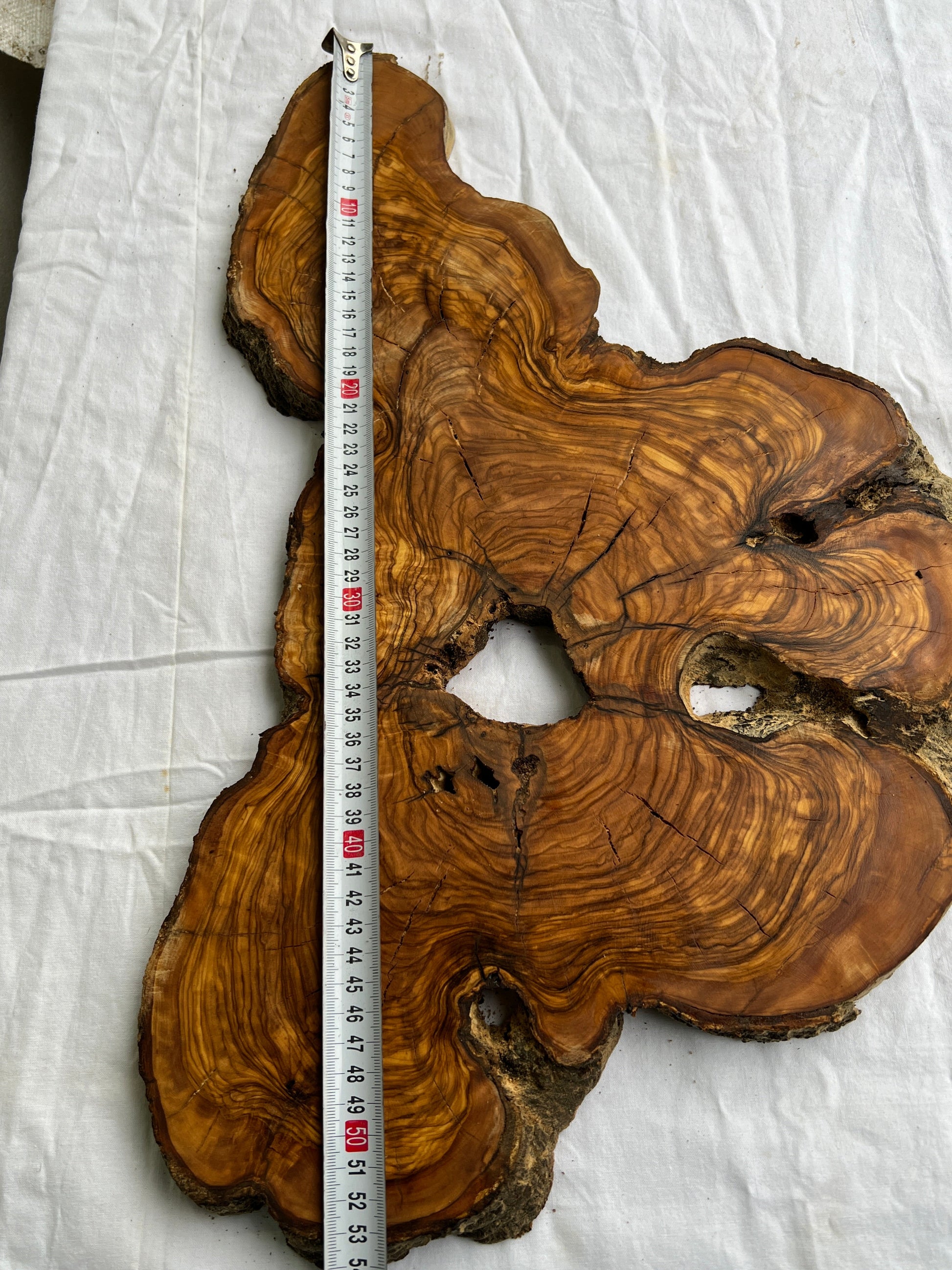 Rare Olive Wood Slab 53x30cm Live Edge for Epoxy Resin Art, Luxury Coffee Table & Clock Making | Super Dry 3% Moisture Unique Grain DIY.