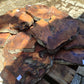 Wholesale Live Edge Olive Wood Slabs - Premium Sustainable Luxury, Unique Grain, 10x28x2.5cm for Epoxy & Crafts