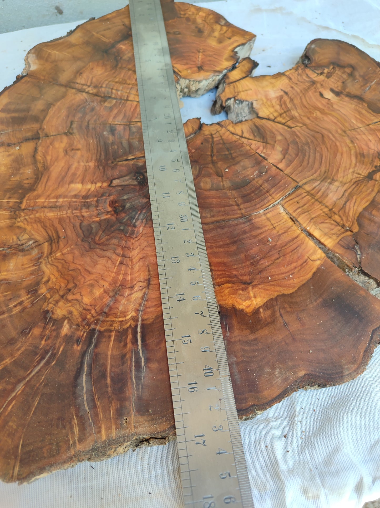 Rare Live Edge Olive Wood Slab – 37x43x2.5 cm, Natural Luster, Unique Grain, Sustainable Luxury for Epoxy & Art