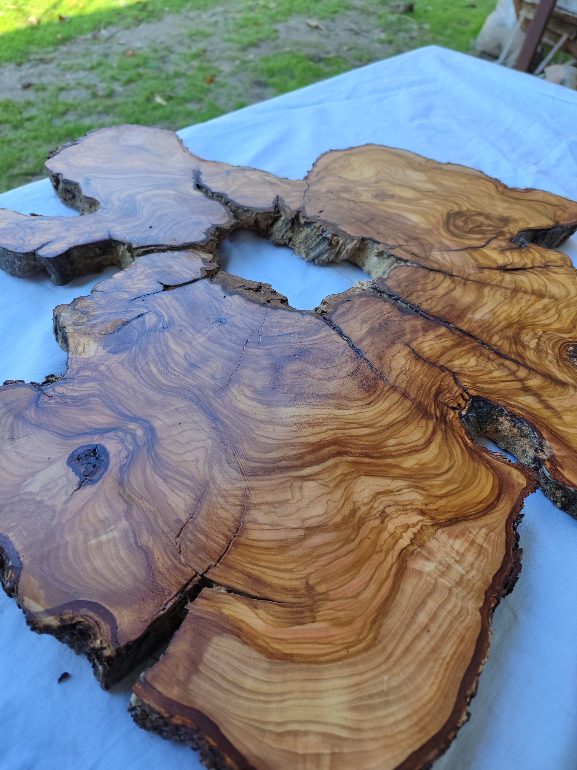 Rare 300yr Old Olive Wood Slab | Huge Live Edge for Epoxy Resin | Super Dry Unique Grain | Luthier Guitar Body & Clock Base | Luxury DIY.