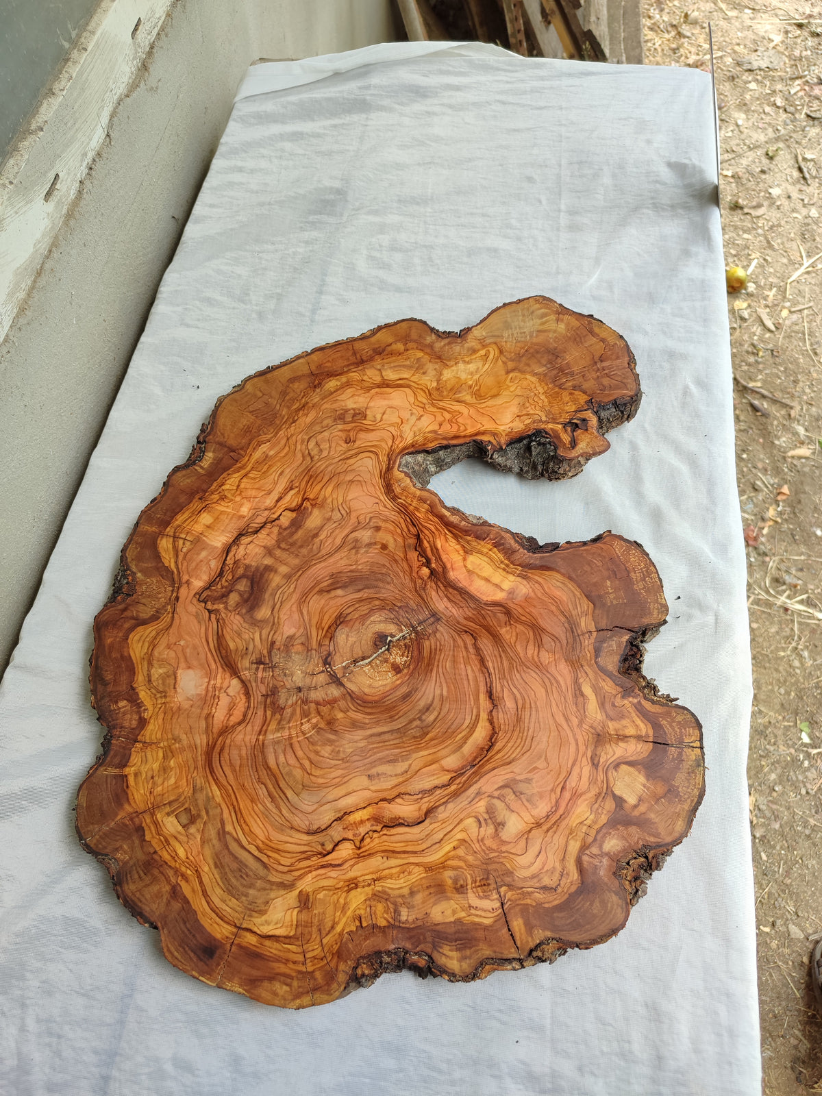Live Edge Olive Wood Slab 39x53cm Epoxy Resin Coffee Table