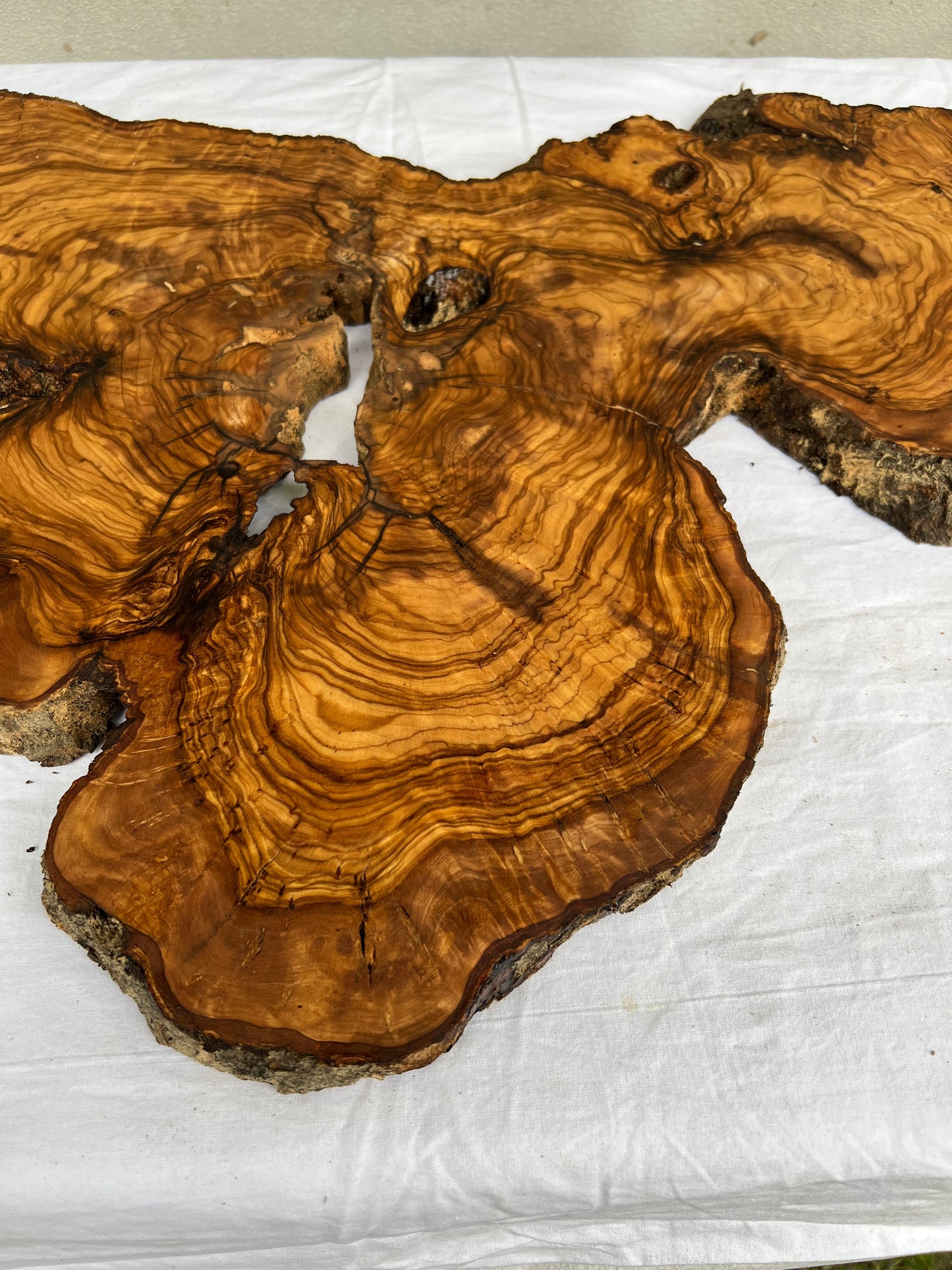 Rare Live Edge Olive Wood Slab 38x61cm - Premium Dry Luthier Lumber for Epoxy Resin Art, Coffee Tables & Unique Guitar Bodies.