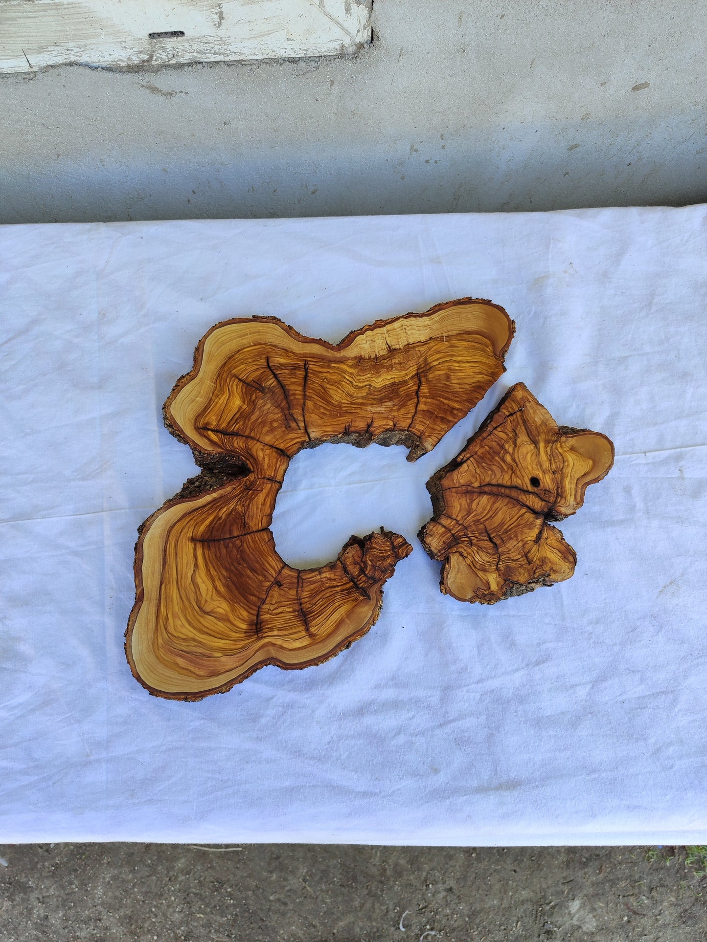 Rare Olive Wood Live Edge Slab 28x40cm - Ultra Dry Figured Lumber for Epoxy Resin Clock Guitar & Luxury Crafts
