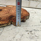 Rare Olive Wood Slab – Live Edge Slab, Unique Grain, Sustainable Luxury – 32x38x2.5 cm for Epoxy, Table & Craft