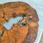 Rare Olive Wood Live Edge Slab – Unique Grain, Premium Natural Luster, 36x38x2.5 cm – Sustainable Luxury for Epoxy & Artisan Crafts