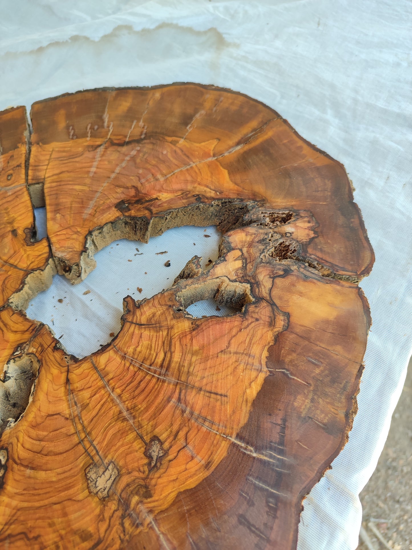 Rare Olive Wood Live Edge Slab – Unique Grain, Premium Natural Luster, 36x38x2.5 cm – Sustainable Luxury for Epoxy & Artisan Crafts