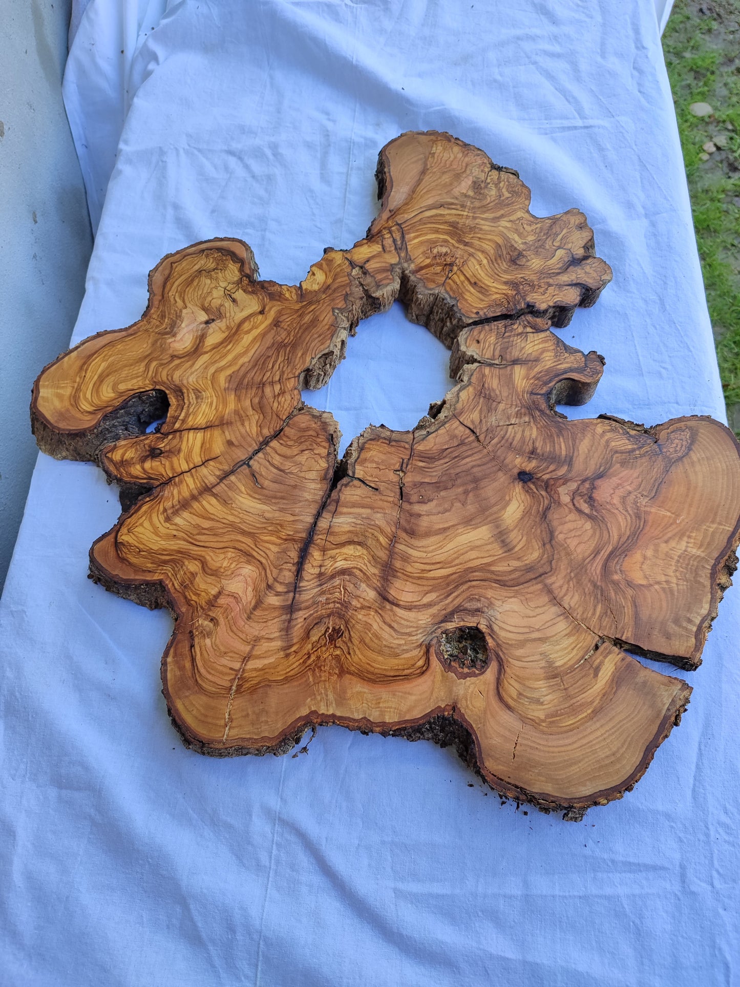 Rare Olive Wood Slab 51x51cm | Live Edge for Epoxy Resin & Coffee Table.