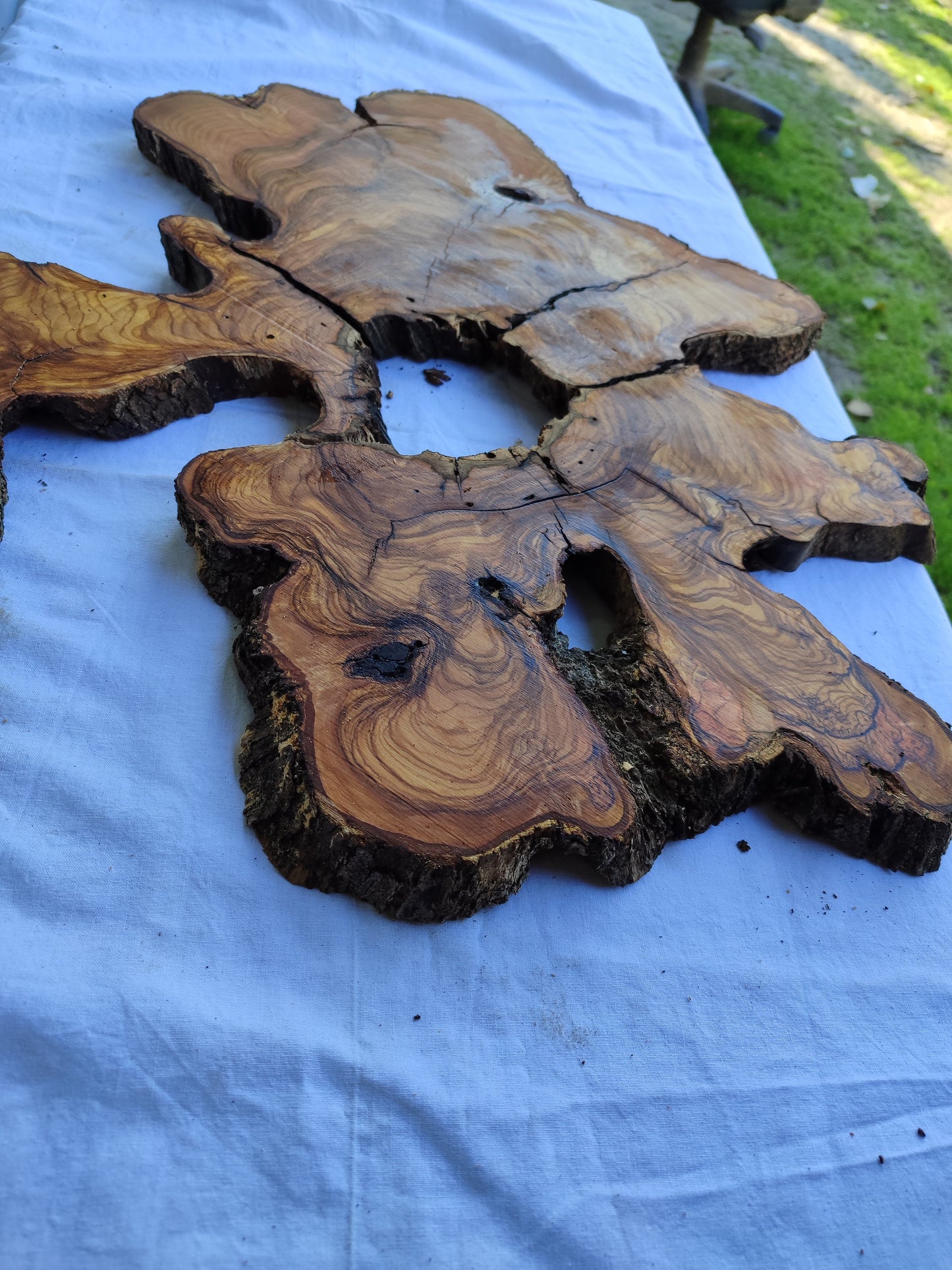 3pcs Rare Live Edge Olive Wood Slab 55x56cm | Super Dry 3% Moisture | Unique Grain for Epoxy Resin, Guitar Body & Luxury Art.