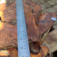 Wholesale Live Edge Olive Wood Slabs - Premium Sustainable Luxury, Unique Grain, 10x28x2.5cm for Epoxy & Crafts