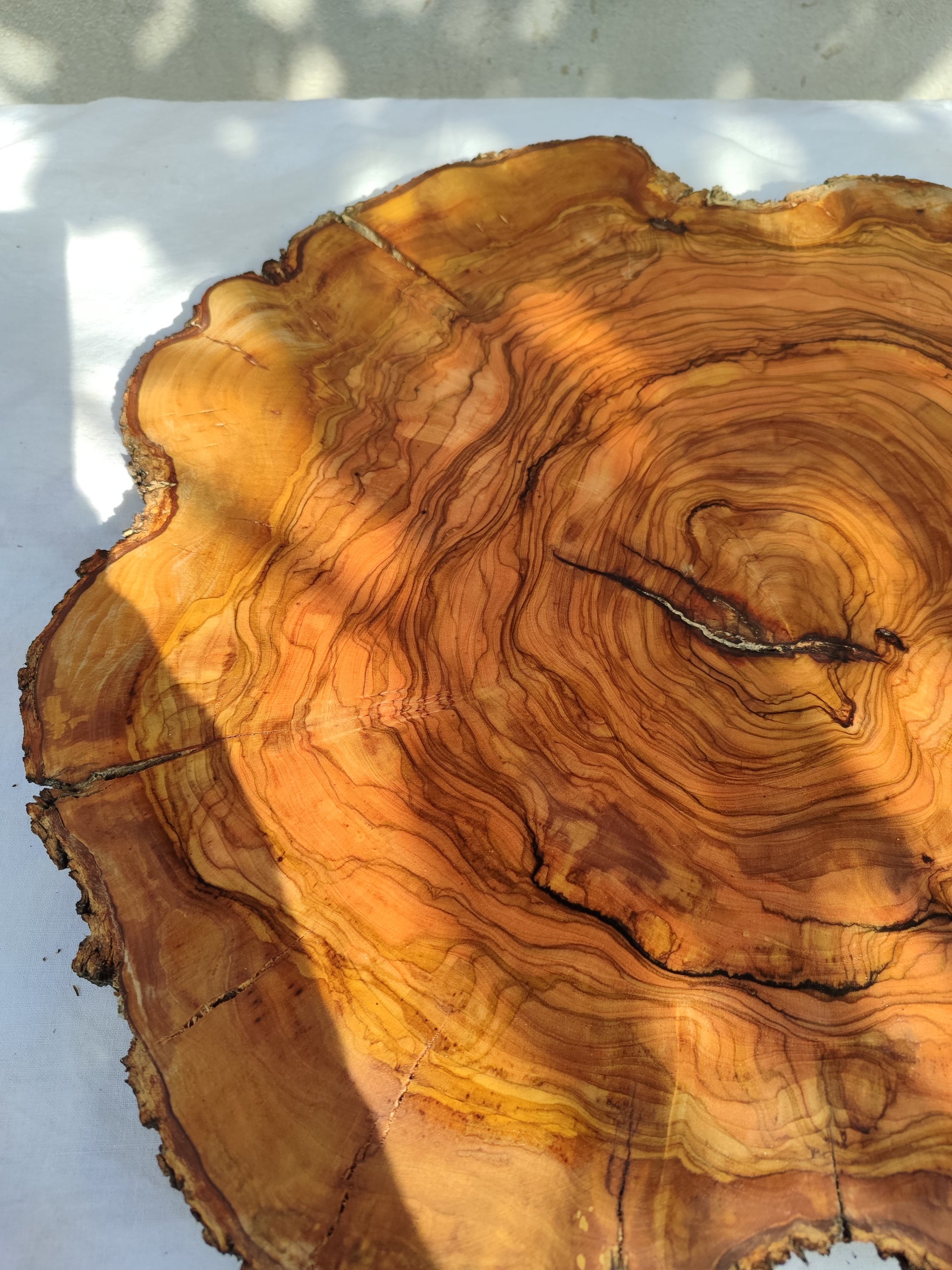 Rare Olive Wood Slab – Live Edge Unique Grain Sustainable Luxury for Epoxy Table & Craft - Olive Generic