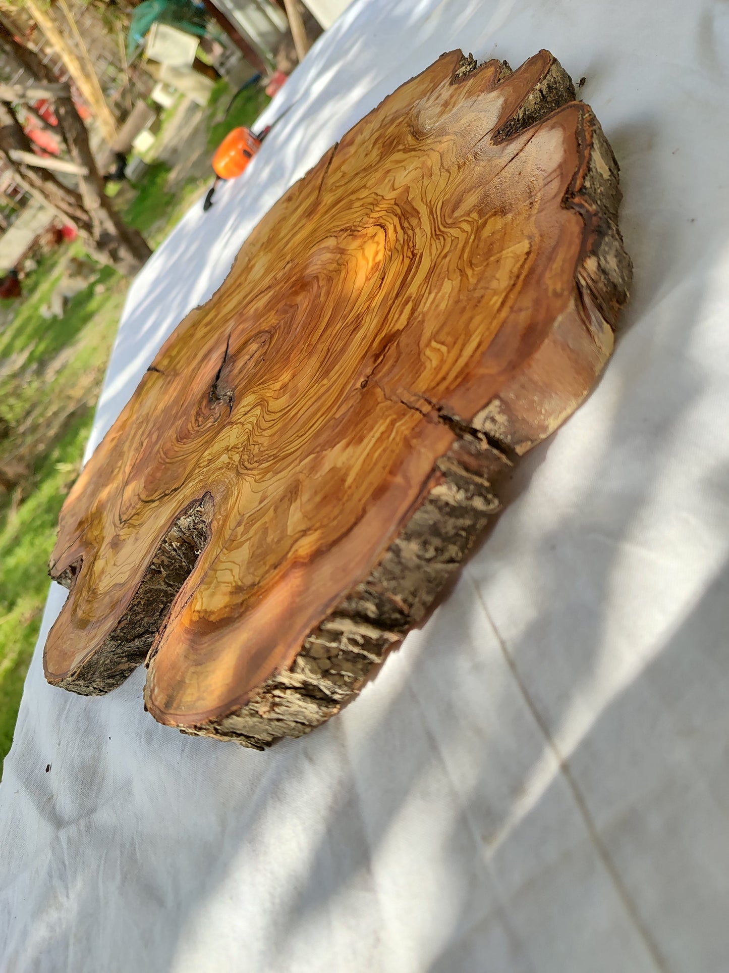 Rare Olive Wood Live Edge Slab – Sustainable Luxury Unique Grain 37x40x2.5cm Premium Natural Finish - Olive Generic