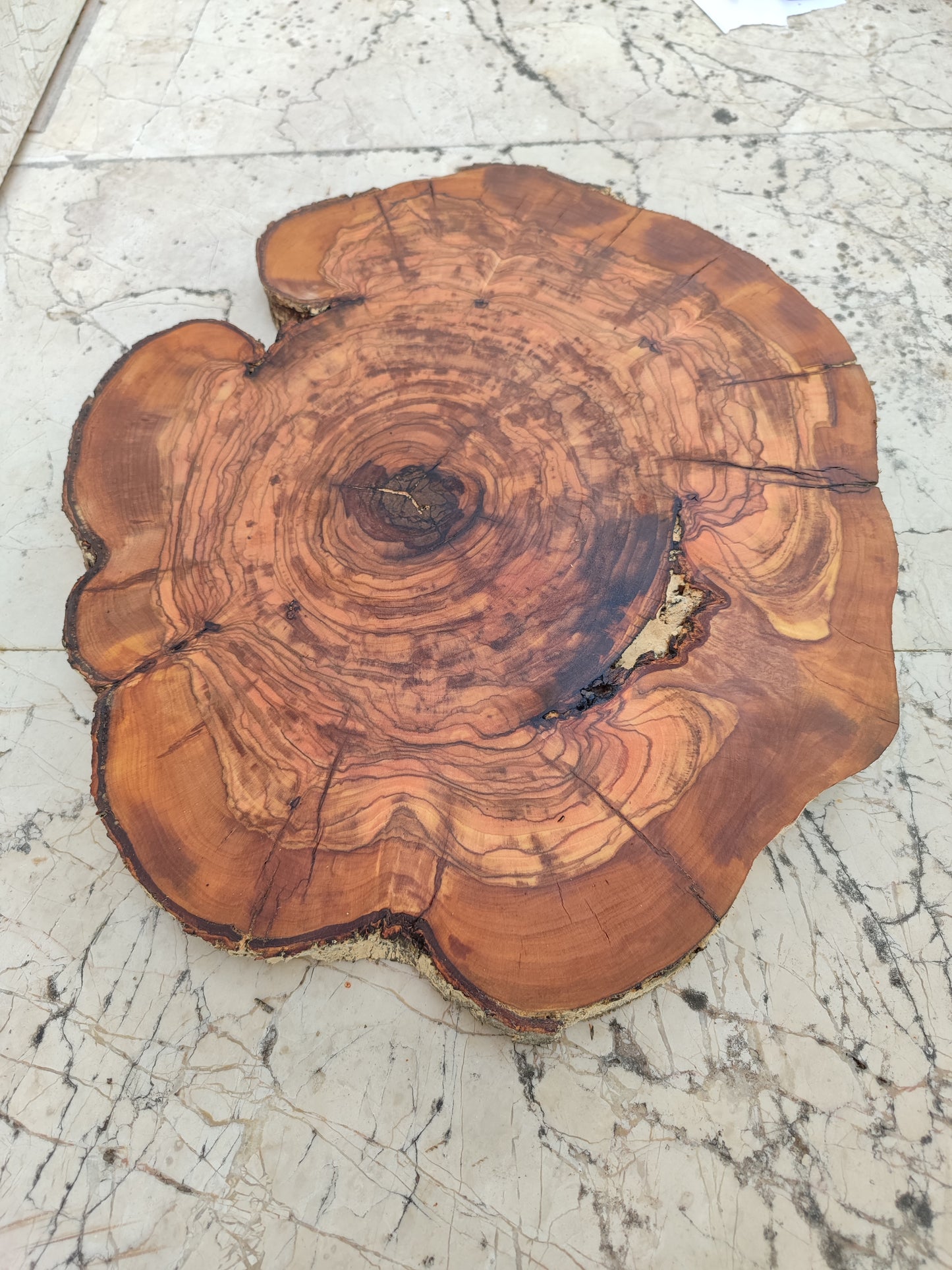 Rare Olive Wood Slab – Live Edge, Unique Grain, Sustainable Luxury for Epoxy, Table & Craft