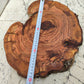 Rare Live Edge Olive Wood Slab – 33x40cm, Unique Grain, Natural Luster, Sustainable Luxury for Epoxy & Crafts