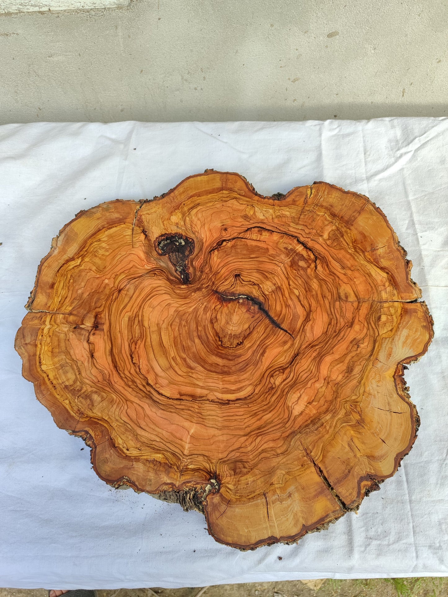 Rare Olive Wood Live Edge Slab – 39x42x2.5 cm – Unique Grain Sustainable Luxury for Epoxy & Crafts - Olive Generic