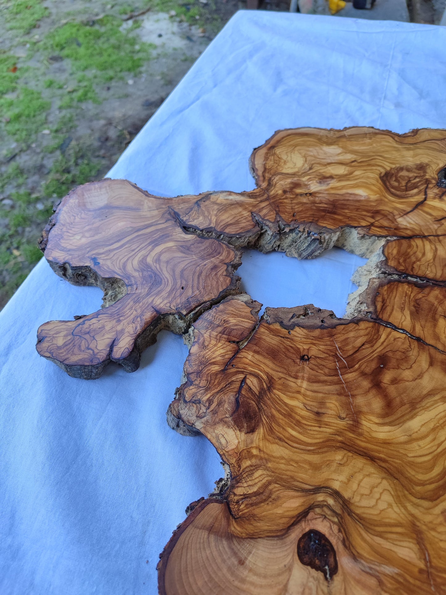 Rare 300yr Old Olive Wood Slab | Huge Live Edge for Epoxy Resin | Super Dry Unique Grain | Luthier Guitar Body & Clock Base | Luxury DIY.