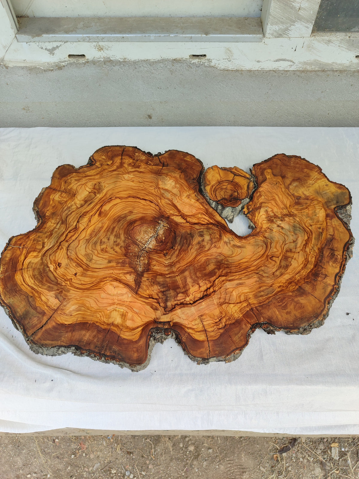 Epoxy Resin Olive Wood Slab Live Edge 37x50cm Coffee Table
