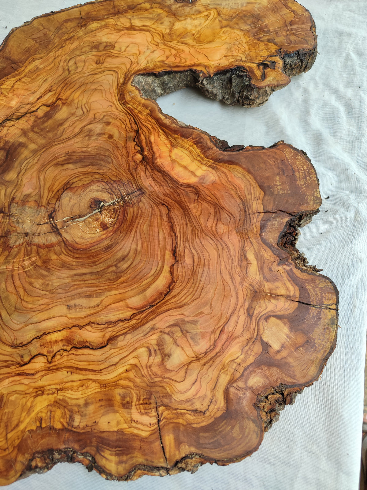 Live Edge Olive Wood Slab 39x53cm Epoxy Resin Coffee Table