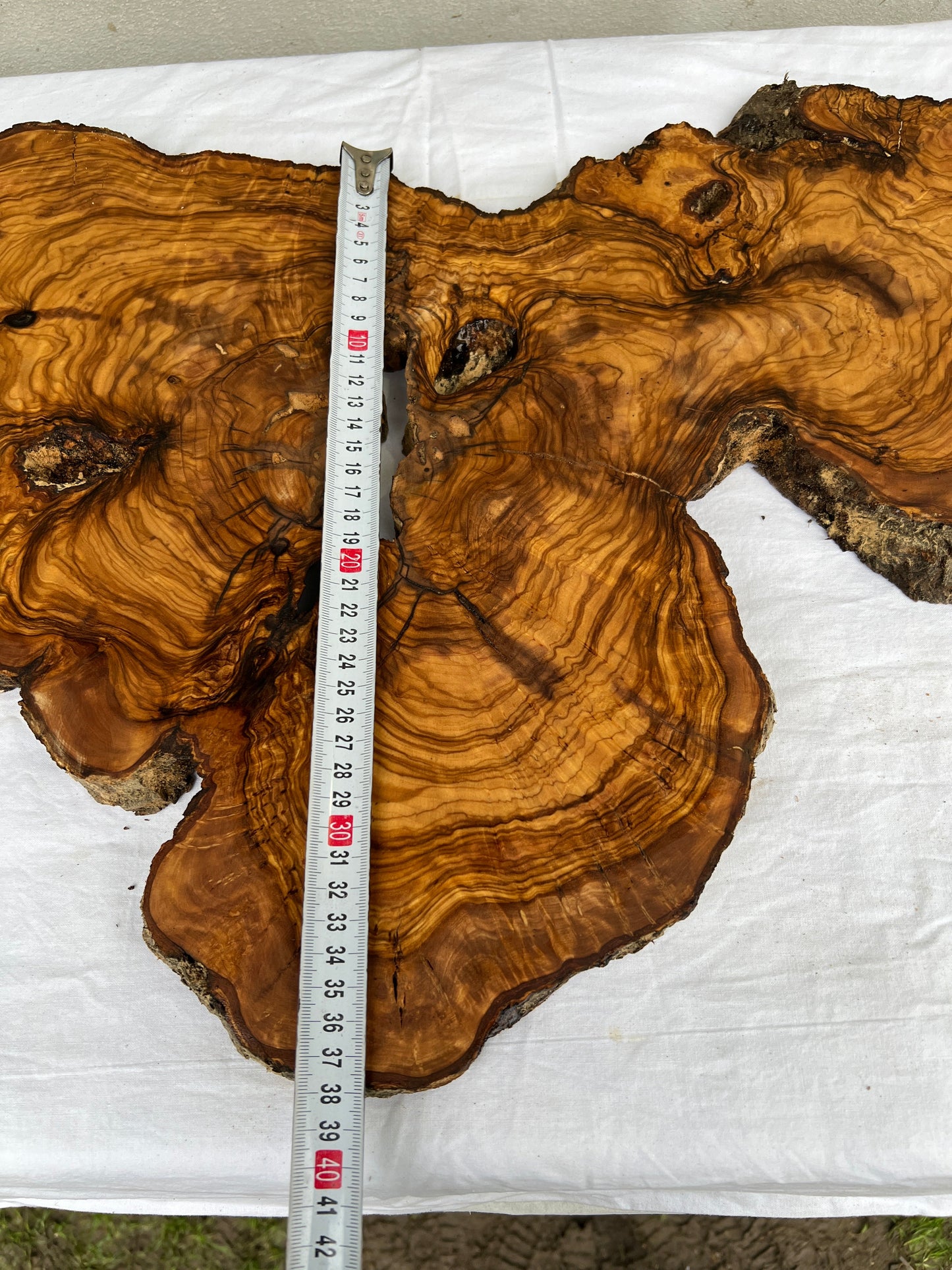 Rare Live Edge Olive Wood Slab 38x61cm - Premium Dry Luthier Lumber for Epoxy Resin Art, Coffee Tables & Unique Guitar Bodies.