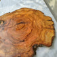 Rare Olive Wood Live Edge Slab – Unique Grain Sustainable Luxury for Epoxy Table & Craft - Olive Generic